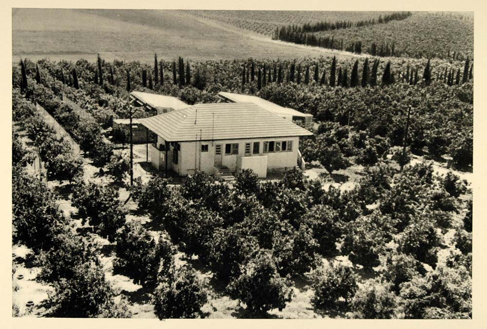 1937 House Zionist Settlement Palestine Photogravure - ORIGINAL PHOTOGRAVURE MD2