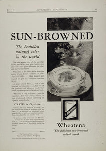 1929 Print Ad Wheatena Wheatenaville Cereal Health Food - ORIGINAL MED4
