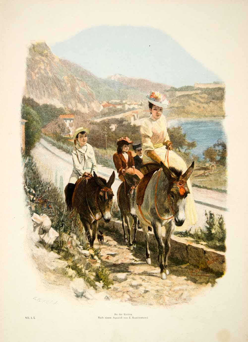 1893 Wood Engraving Rosenstand Riviera Mother Donkey Children Mediterranean MK1