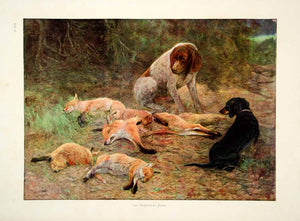 1907 Photolithograph Finale Fox Hunting Hound Pups Dead Carl Kappstein MK2