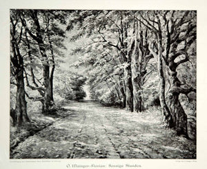 1912 Print Olga Wisinger-Florian Sonnige Stunden Forest Landscape Road Woods MK4