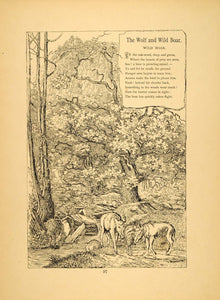 1879 Print Wolf Wild Boar Forest Friedrich Froebel - ORIGINAL HISTORIC IMAGE MP3