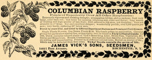 1895 Ad Columbian Raspberry James Vicks Sons Seedsmen - ORIGINAL MUN1