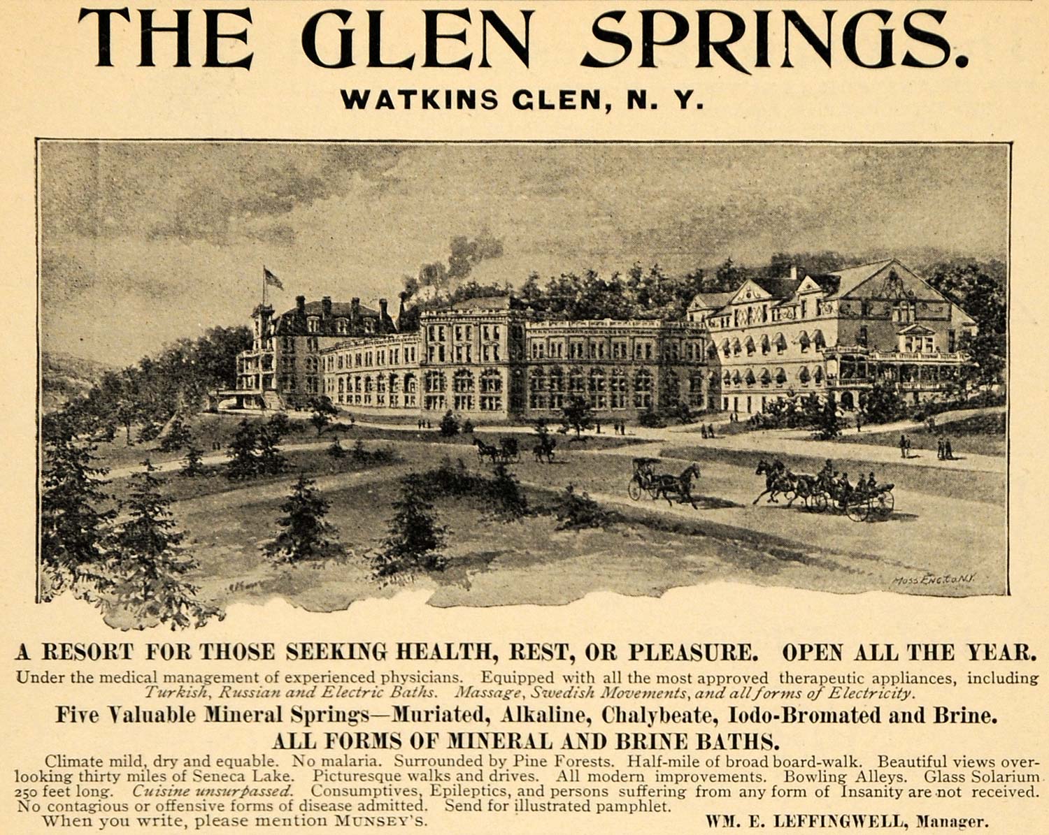 1895 Ad Glen Springs Watkins Glen Health Resort Nauheim - ORIGINAL MUN1