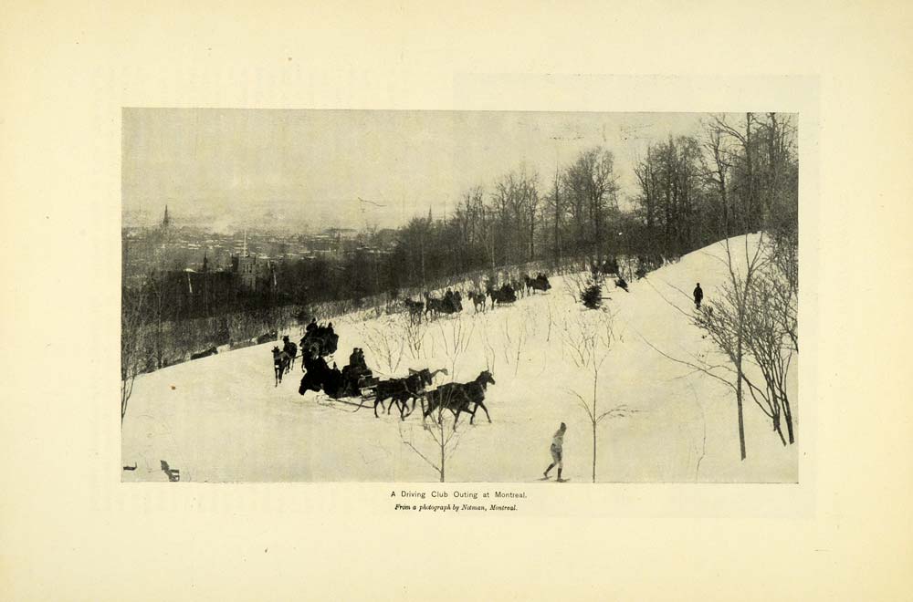 1895 Print Driving Club Outing Montreal Winter Snow Horse Drawn Sleigh MUN1