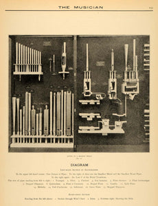 1906 Print Musician Inner Organ Diagram Pipes Octaves ORIGINAL HISTORIC MUS1
