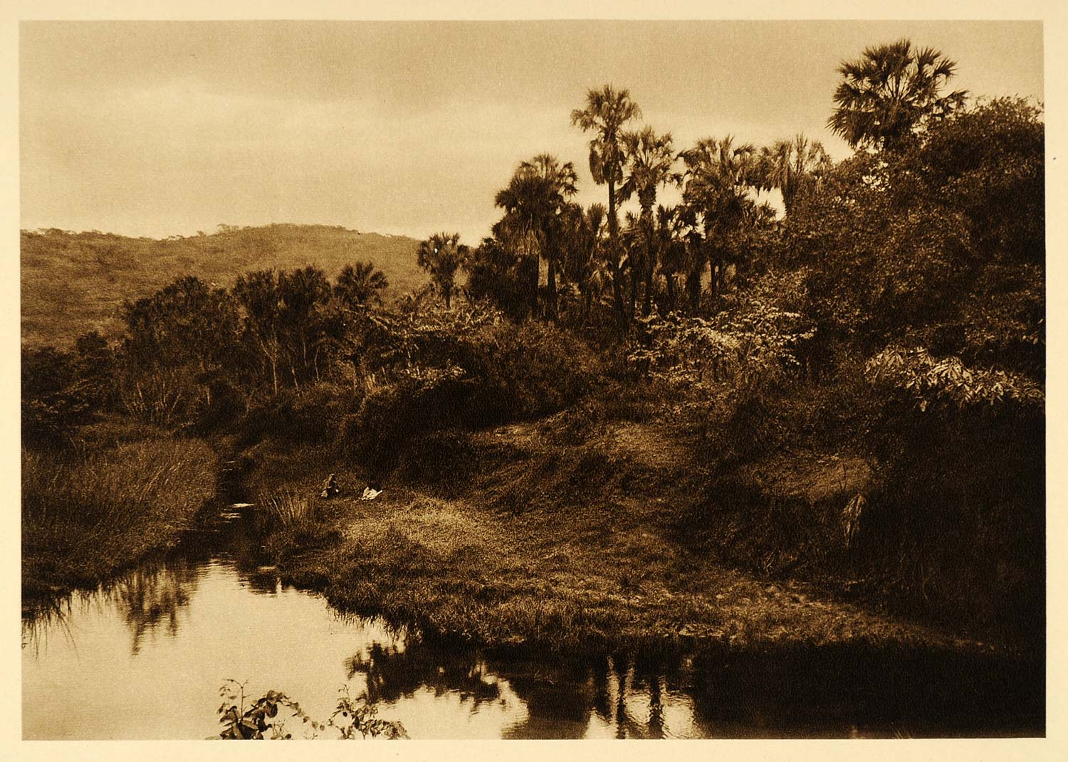 1925 Palm Trees Tamasopo Landscape Mexico Photogravure - ORIGINAL MX1