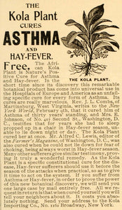 1900 Ad Kola Importing Co Plant Asthma Cure Hay Fever - ORIGINAL ADVERTISING MX5