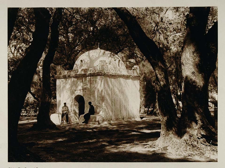 1924 Sacred Grove Blida Algeria Lehnert Photogravure - ORIGINAL NAF1