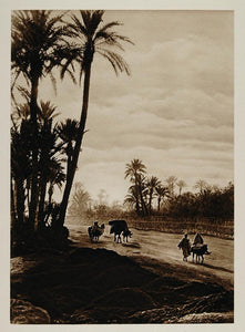 1924 Marrakech Marrakesh Road Palm Morocco Photogravure - ORIGINAL NAF1 - Period Paper
