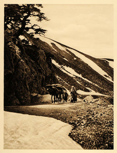 1924 Kabylie Mountain Snow Algeria Lehnert & Landrock - ORIGINAL NAF2
