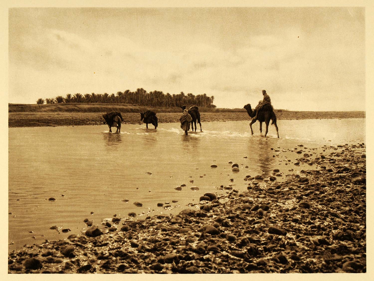 1924 Camels Caravan Biskra Oasis Lehnert North Africa - ORIGINAL NAF2