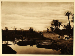 1924 Watering Hole Cattle Marrakech Marrakesh Morocco - ORIGINAL NAF2