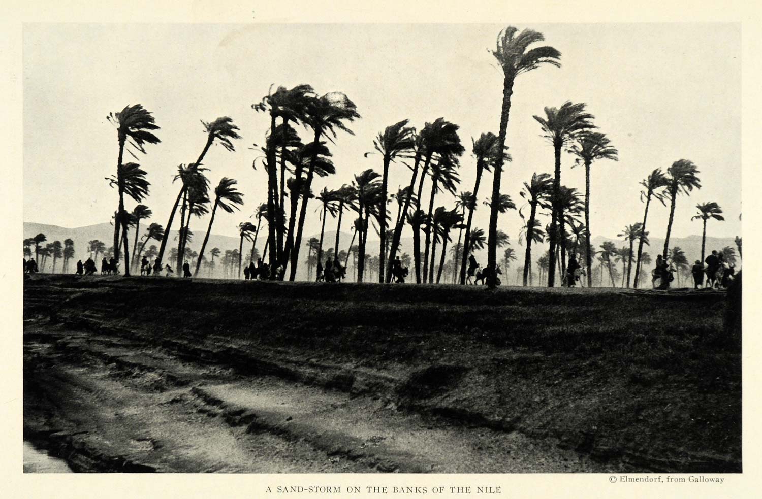 1922 Print Sand Storm Banks Nile River Egypt Elmendorf Trees Natural NGM1