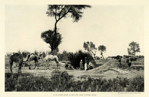 1922 Print Sugar Cane Agriculture Farming Camel Earle Harrison Nile River NGM1