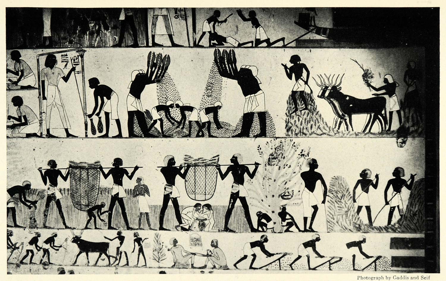 1926 Print Ancient Egypt Gaddis Seif Menna Thebes Luxor Egypt Animal Tomb NGM1