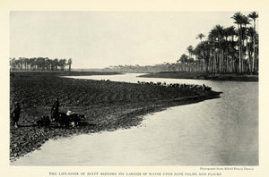 1926 Print Alfred Pearce Dennis Egypt Palm Nile River Flooding Egyptian NGM1