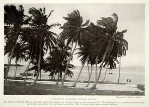 1919 Print Bimini Beach Bahama Island Landscape Caribbean Sea Historical NGM5