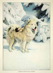 1919 Color Print North Greenland Eskimo Dog Breed Louis Fuertes Art Animal NGM5