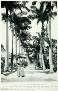 1922 Print Avenue Royal Palm Tree Bridgetown Barbados Children Street Scene NGM7