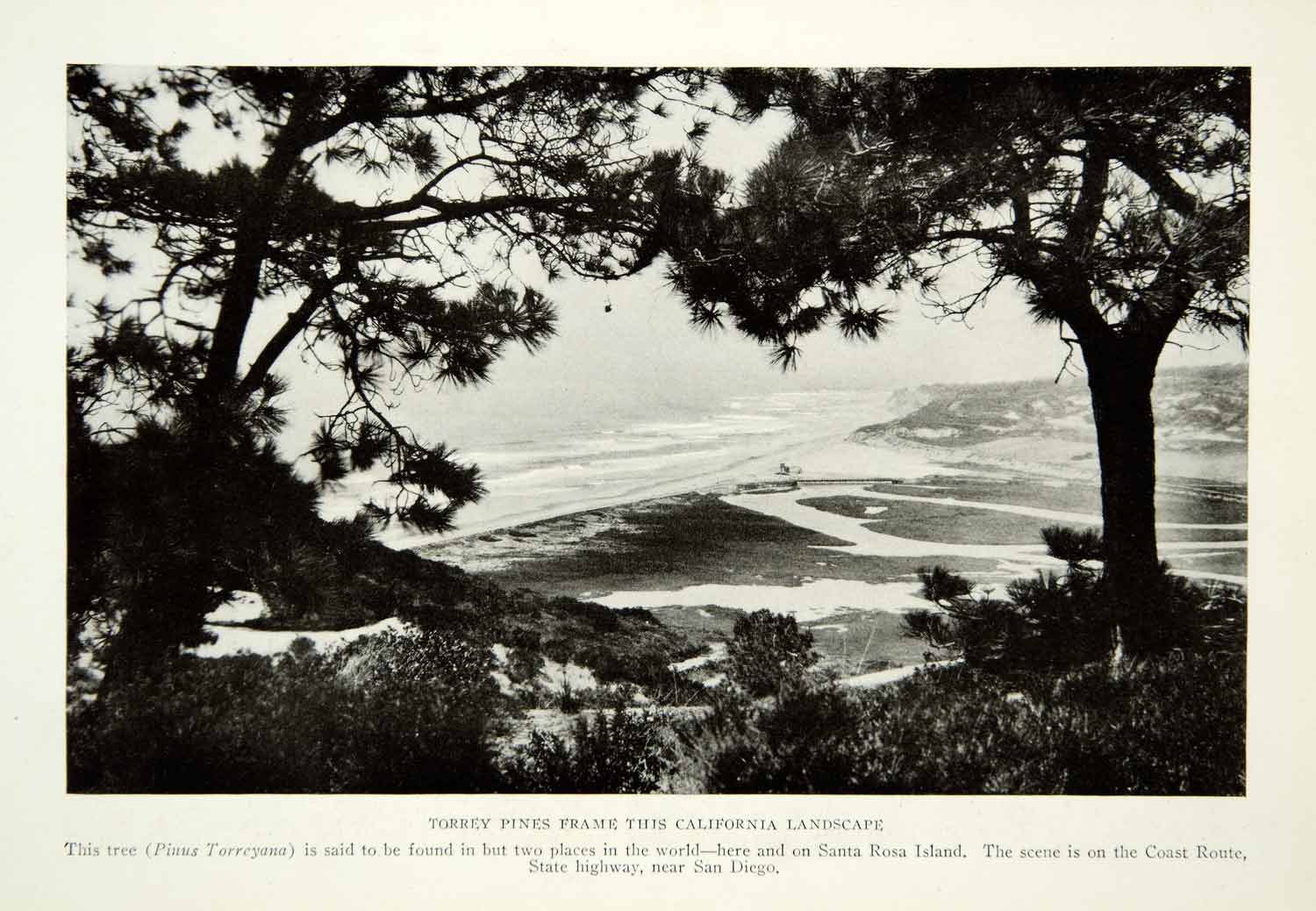 1922 Print Coast Route Highway San Diego Landscape Ocean Historical Image NGM8