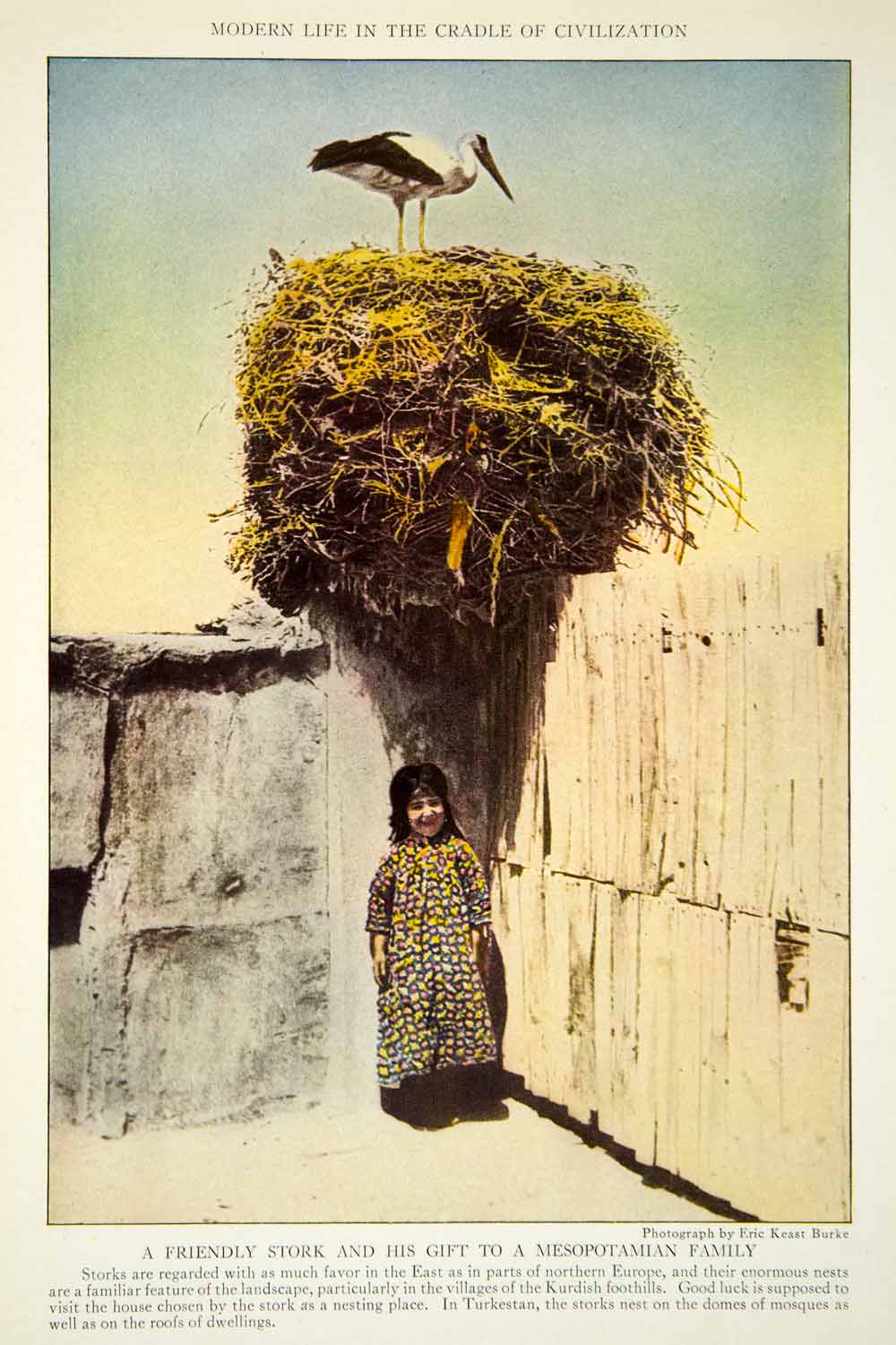 1922 Color Print Kurdish Girl Stork Nest Mesopotamian Traditional Dress NGM8