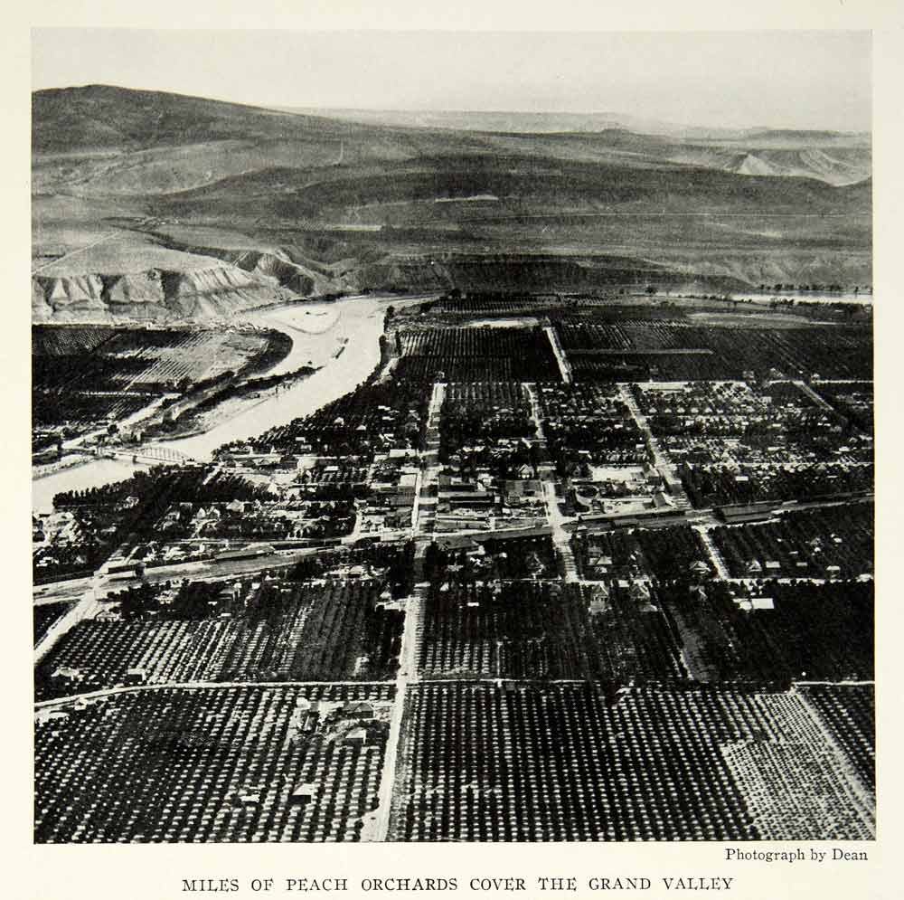 1932 Print Colorado River Valley Peach Orchards Aerial View Landscape Image NGM9