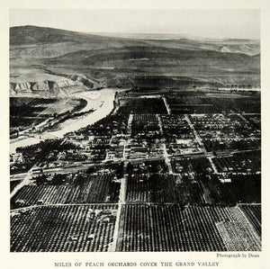 1932 Print Colorado River Valley Peach Orchards Aerial View Landscape Image NGM9