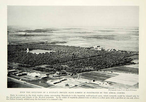 1932 Print Marrakech Morocco Landscape Olive Garden Aerial Image Historical NGM9