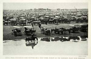 1929 Print Hungary Hungarian Horse Market Hortobagy Debreczen Historic View NGM9