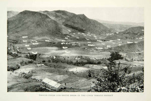 1924 Print Puerto Rico Tobacco Fields Drying Sheds Cayay District Image NGM9
