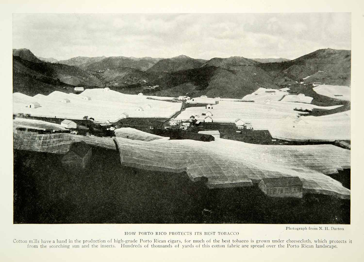 1924 Print Puerto Rico Cigar Tobacco Cotton Cloth Protectant Historical NGM9