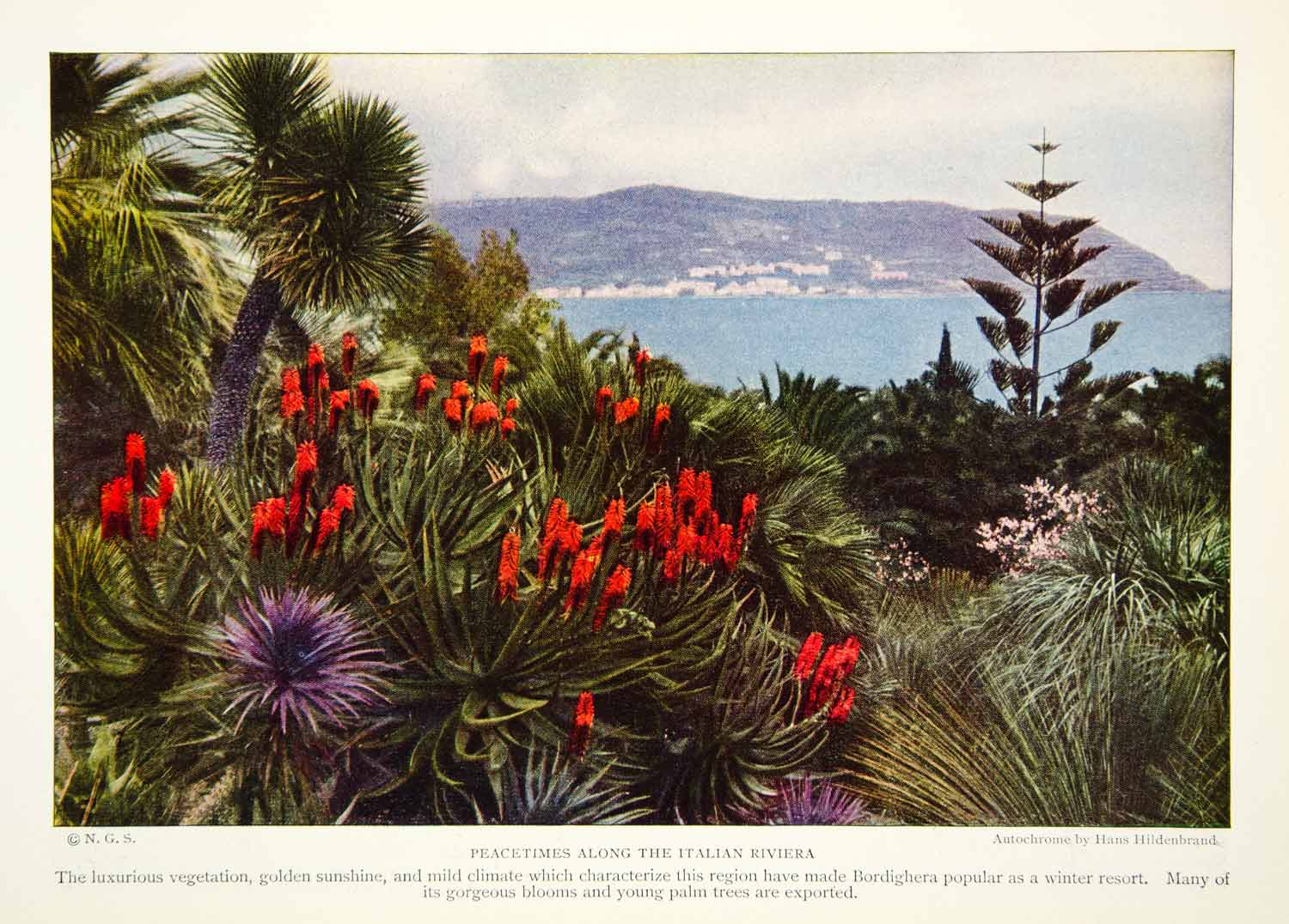 1926 Color Print Riviera Landscape Vegetation Italy Historical Image View NGM9
