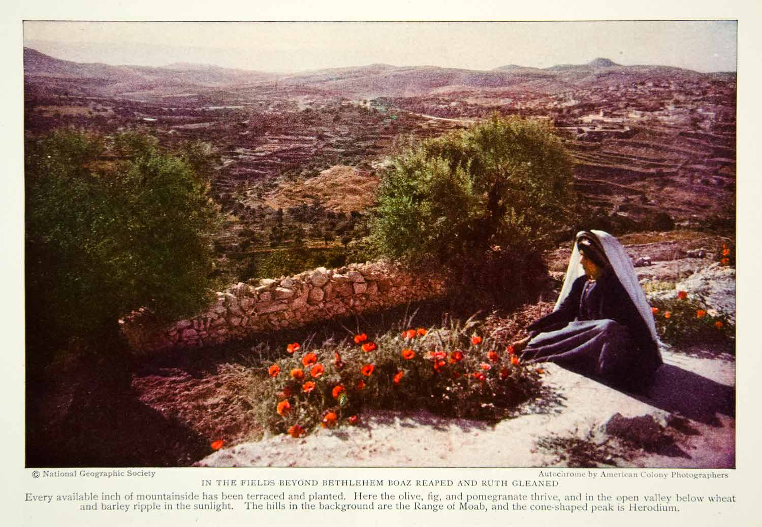 1929 Color Print Bethlehem Palestine Middle East Herodium Landscape Image  NGM9