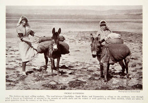 1923 Print Cockle Gatherers Wales United Kingdom Cockleland Donkey NGMA1