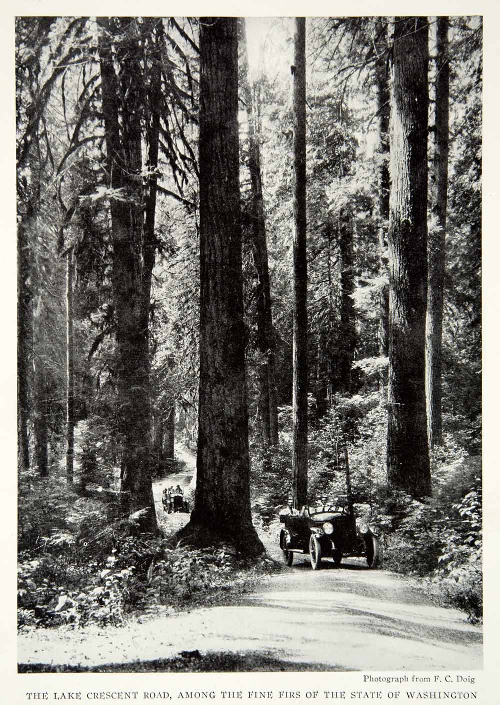 1923 Print Lake Crescent Road Washington State Fir Trees Road Travel NGMA1
