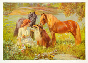 1923 Color Print Shetland Pony Island Horse Equestrian Animals Edward NGMA1 - Period Paper
