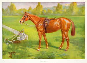 1923 Color Print Polo Pony Thoroughbred Horse Equestrian Edward Miner NGMA1