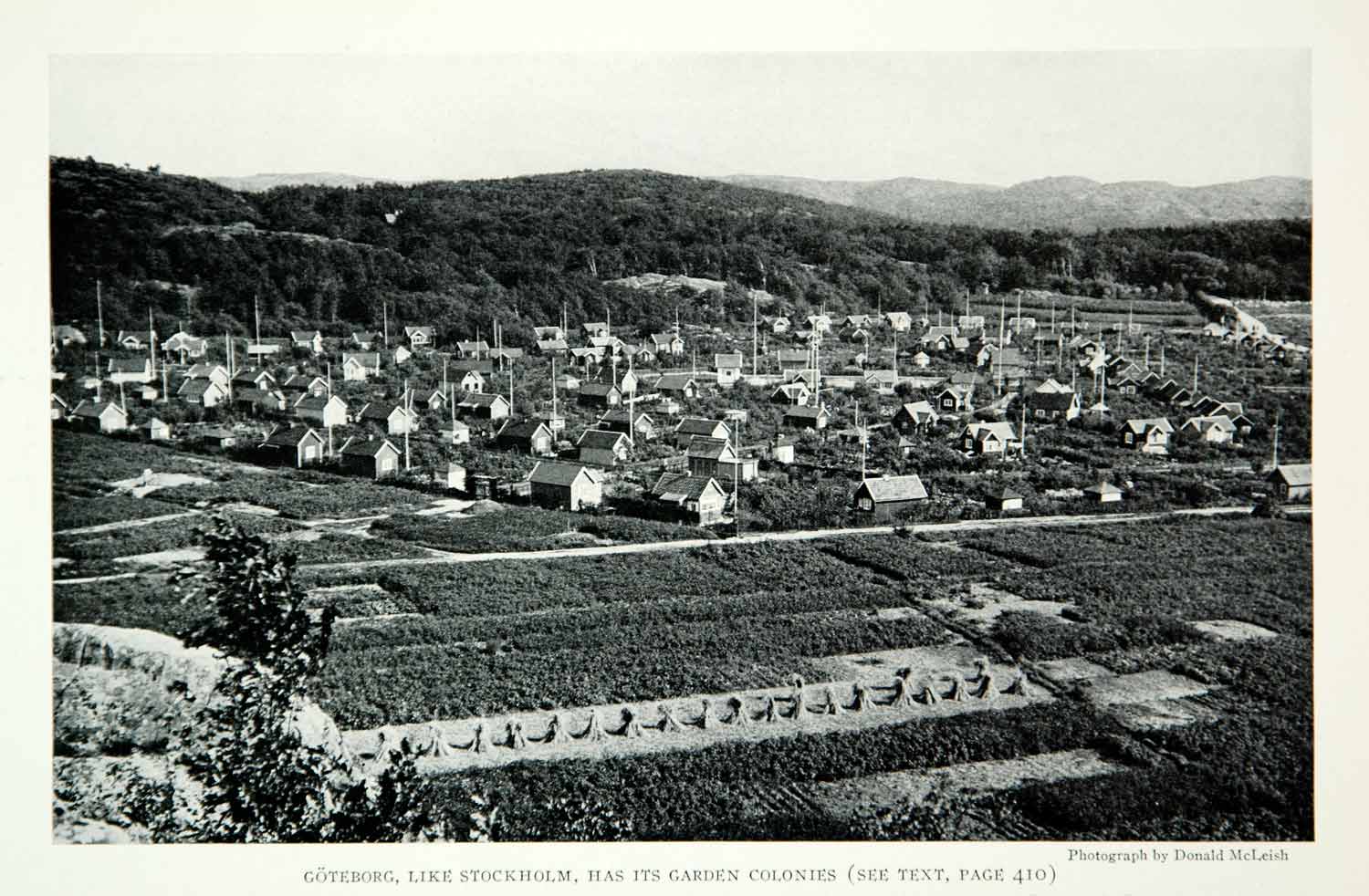 1928 Print Goteborg Sweden Garden Colony Landscape Agriculture Historical NGMA2