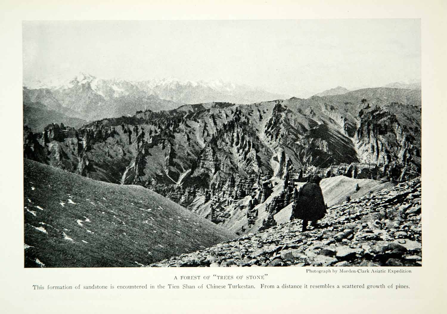1928 Print Tien Shan Mountains Chinese Turkistan Trees of Stone Landscape NGMA2
