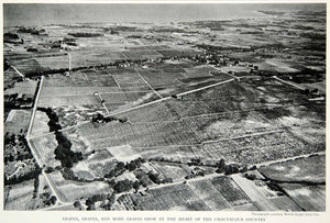 1933 Print Aerial View Chautauqua County New York State Agriculture Image NGMA3