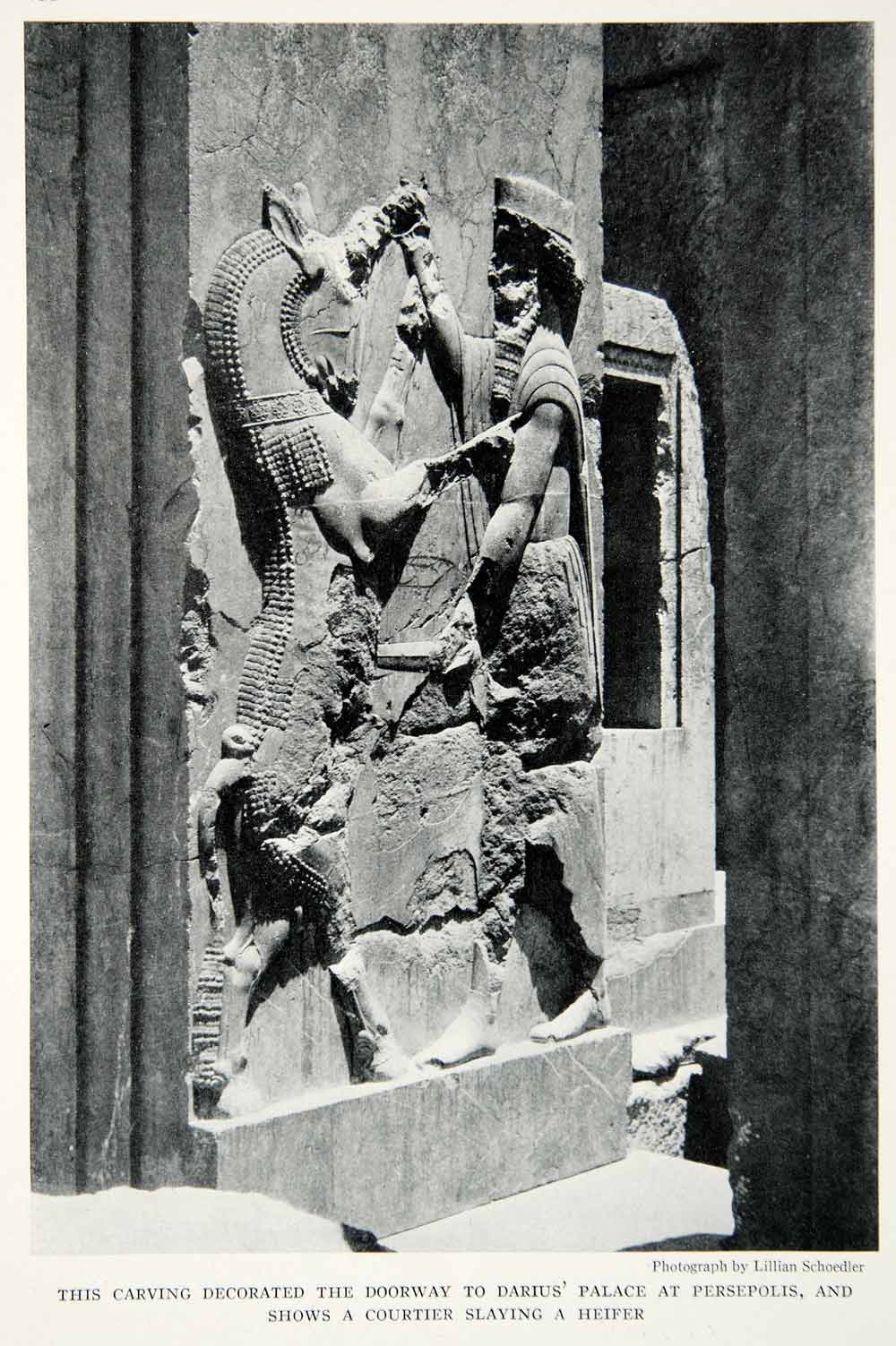 1933 Print Persepolis Archeology Stone Carving Emperor Darius Palace Image NGMA3