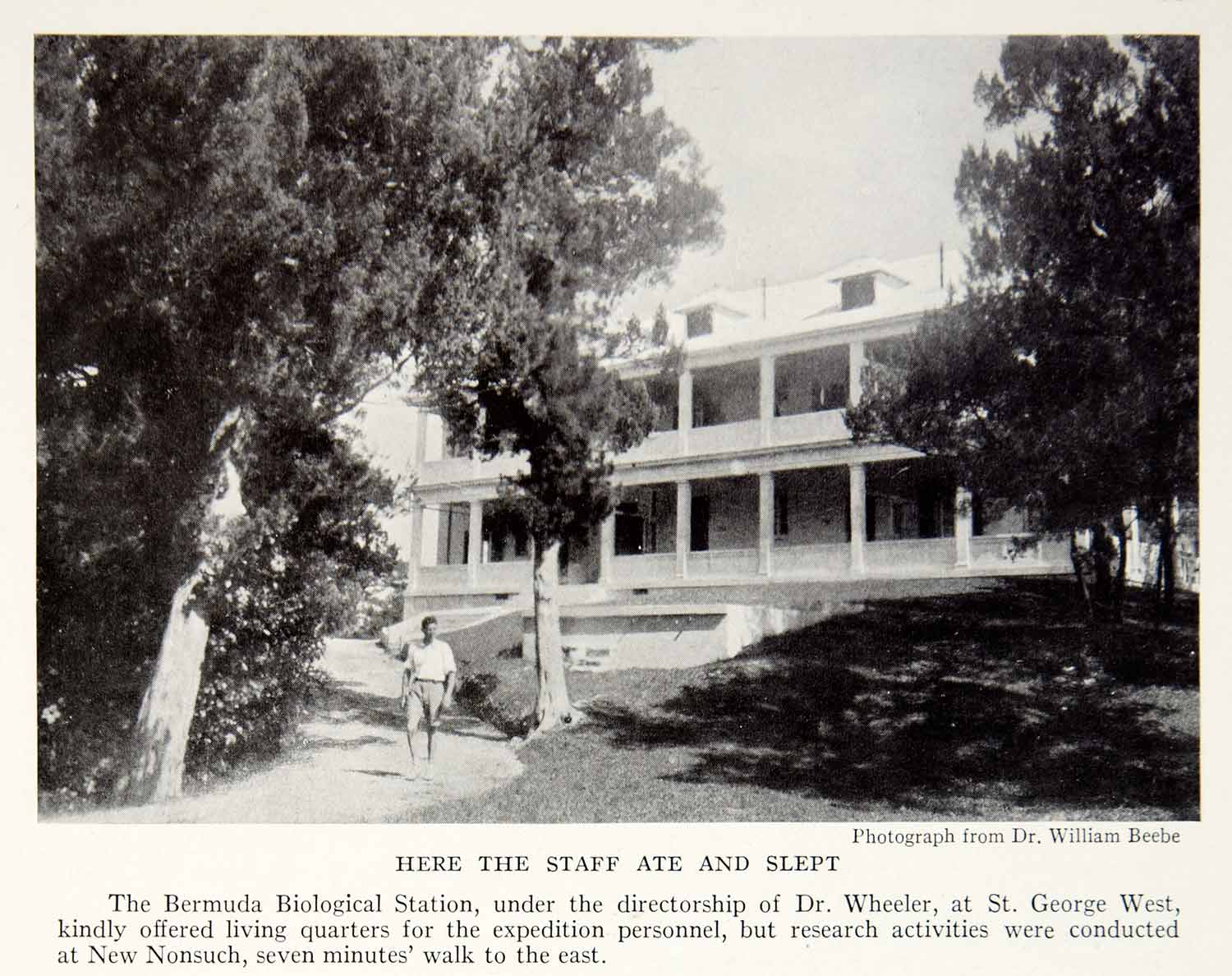 1934 Print Bermuda Biological Station Quarters Eat Sleep Science Research NGMA5