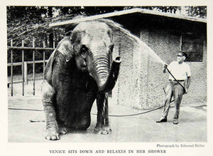 1934 Print Venice Elephant Milwaukee Zoo Animal Shower Historical Image NGMA6