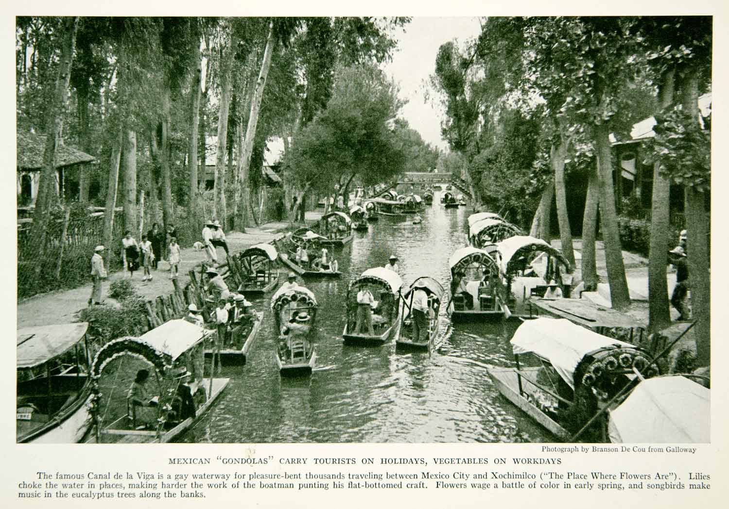 1934 Print Canal de la Viga Waterway Canal Mexico City Xochimilco Image NGMA6
