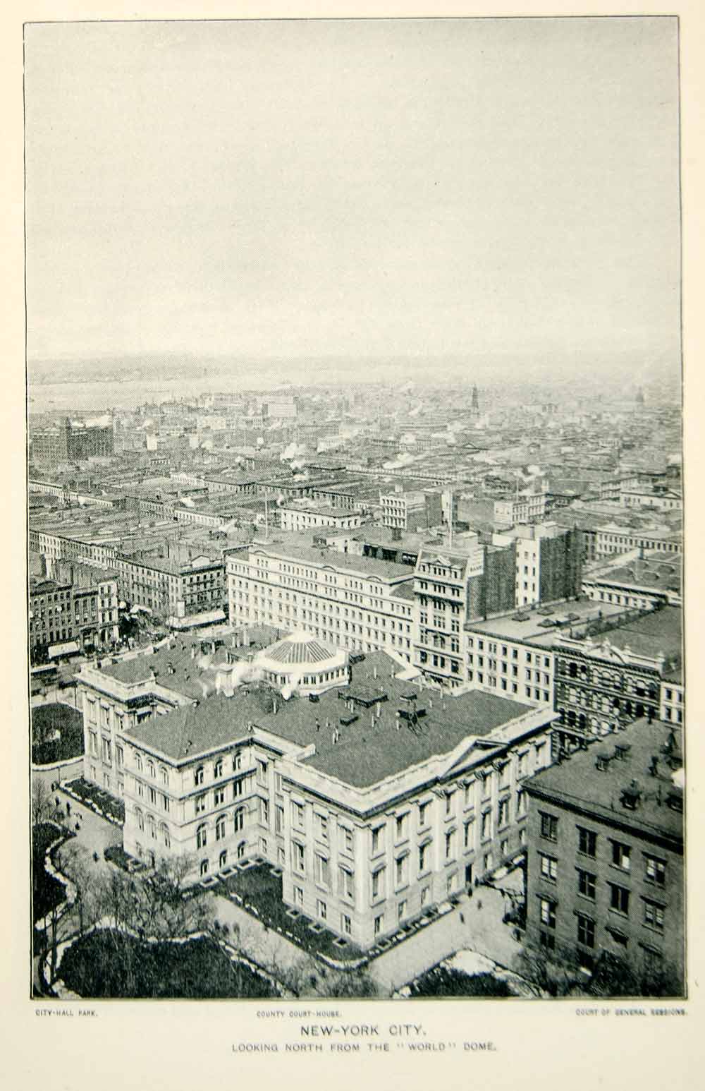 1893 Print New York City Panorama View County Courthouse Historic Image NY2A