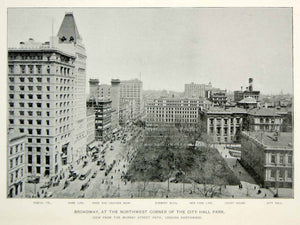 1893 Print Broadway New York City Hall Park Street Buildings Historic Image NY2A