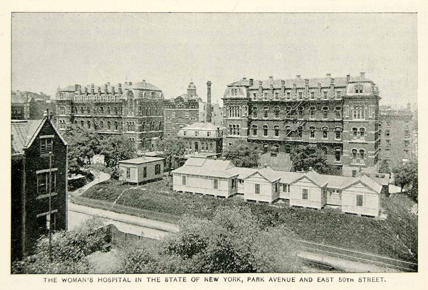 1893 Print Womans Hospital Building State of New York Building NYC Historic NY2A