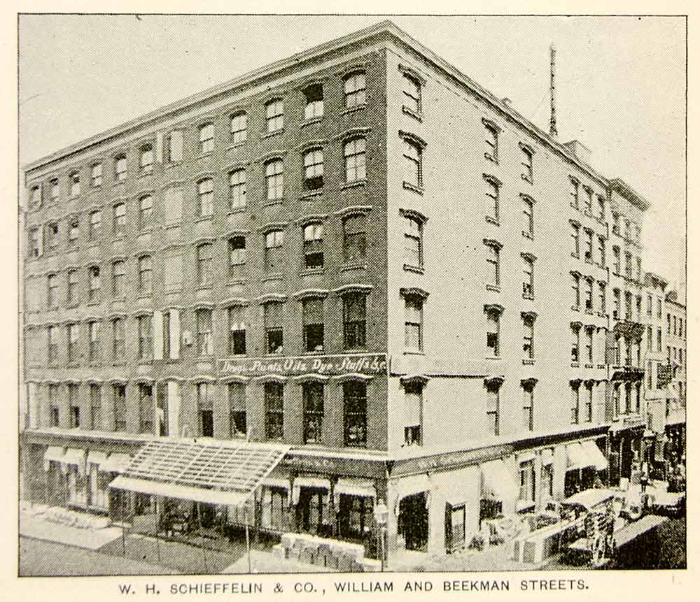 1893 Print W. H. Schieffelin Warehouse Druggist 170 172 William Street NYC NY2A