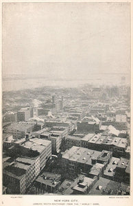 1893 Print New York City Roof Top Panorama World Dome ORIGINAL HISTORIC NY2